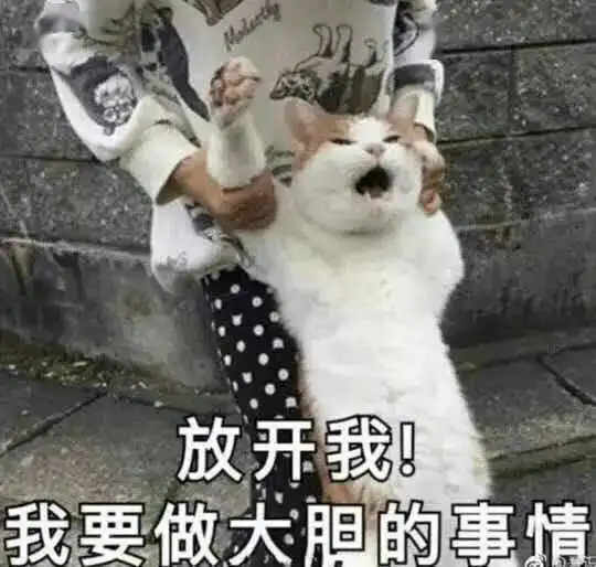  没有提示可能这辈子都玩不通这个游戏,通关全靠巧合.....