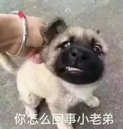  极品飞车新作来了,会变成大型真香现场吗