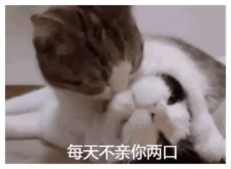  可爱沙雕表情包你好拽啊,我更喜欢你了呢