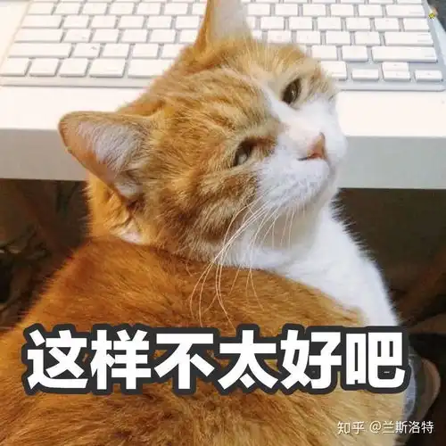  有哪些可爱的猫猫表情包