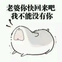 老公你快回来表情包