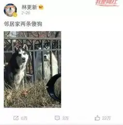  作妖f4刘烨林更新邓超高晓松