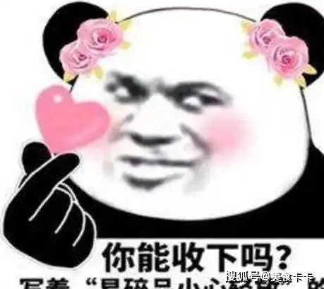生气熊猫表情包动图语录