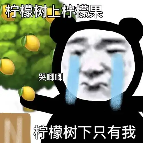  表情包不能让爱情耽误我学习