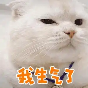 狗狗开心表情包图片孤独