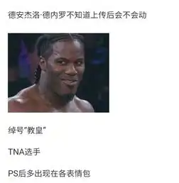  北方栖姬为什么有那么多表情包