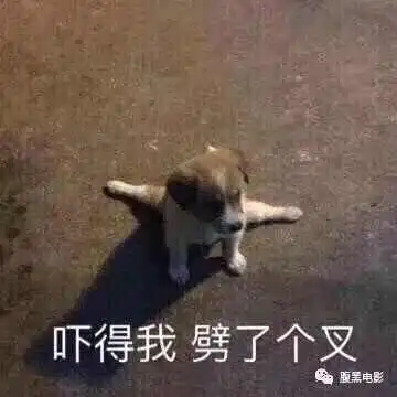  已扫雷,12月院线电影