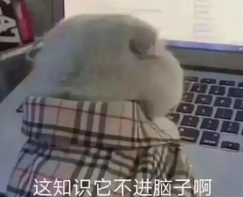  钉钉火了,奇怪的姿势增加了