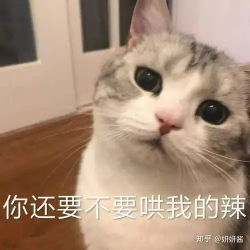  有哪些哄女朋友的表情包