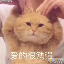  我给你修好了表情包我懂我懂表情包图片下载乐游网游戏下载