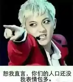 灵界打击表情包音乐会