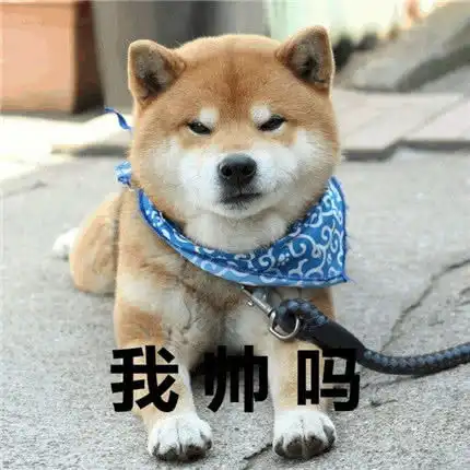  表情包他竟然已经会用忍术了