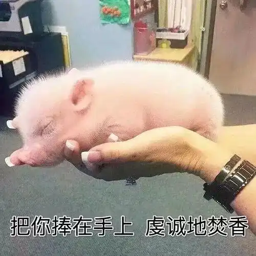  鳄鱼是一男一女抱在一起变成的可以说是严谨而学术的胡说八道了丨一周不正经文艺小报