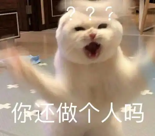 今日份表情包