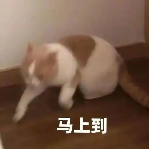  这款面膜也太好用了吧敷一片直接素颜出门