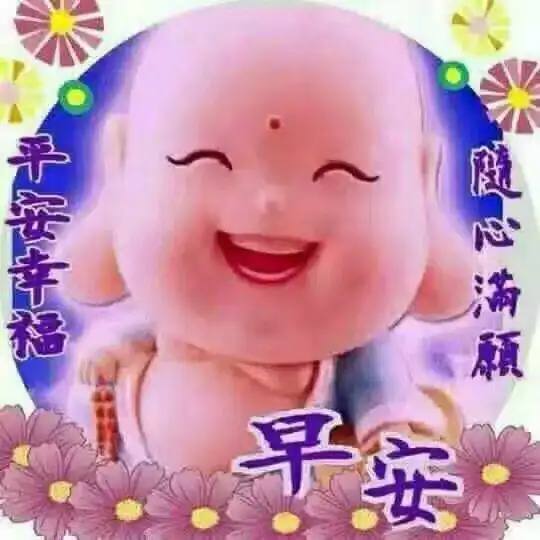  早上好,最全的聊天表情图库太美了送给你