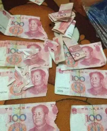  来到家里不到两天的二哈,老爸攒了两年的零花钱没了