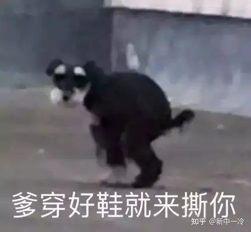  什么是真团粉