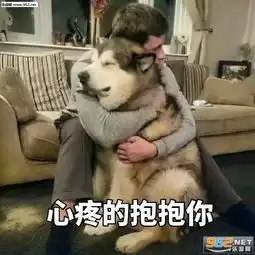  心疼的抱抱你表情图片拔你头发表情包下载乐游网游戏下载
