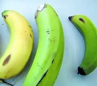 绿香蕉焦虑表情包