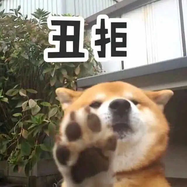 柴犬表情包图片彩礼