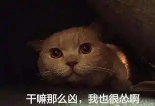  家里的红灯笼变巨型马蜂窝送上门的蜂蜜你敢吃吗