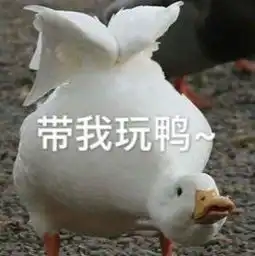  收藏上海16区130家玩乐好去处多半免费放假不愁没地方玩啦