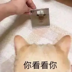  近期斗图表情包精选201985