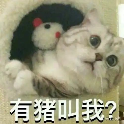  长得矮是什么感觉