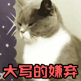  表情包可爱猫猫逐渐暴躁的动图表情