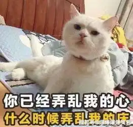  爆笑段子收到哥们的暗号短信,老婆看不懂,那就对了