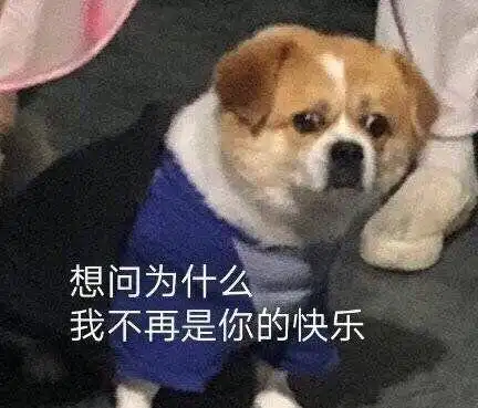  笑到不行的表情包,哈哈哈金馆长表情包