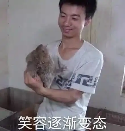 nice兄dei表情包原图礼