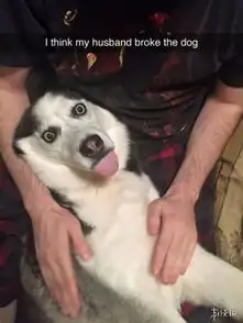 太无聊了表情包喜感