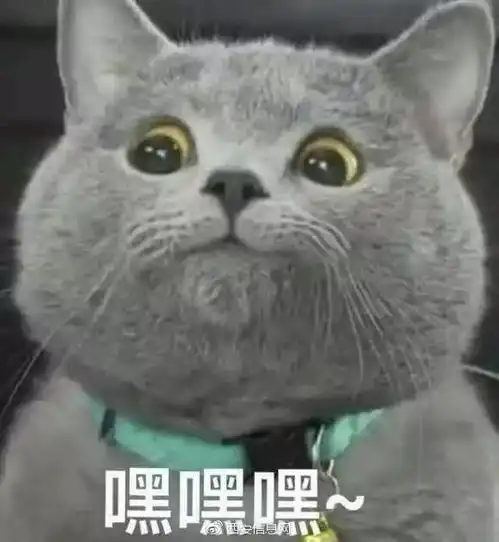  还不知道平安夜要送什么吗get这篇文章告诉你答案