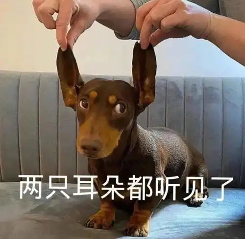  奇怪的表情又增加了