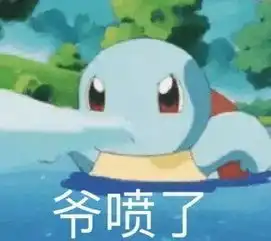 前方大量表情包出没杰尼龟咋就变成憨批代言人了