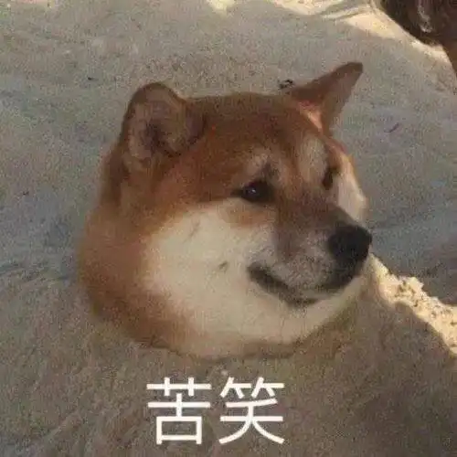  别着急减衣服,冷空气又杀回来了