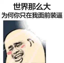vue表情包世界那么大