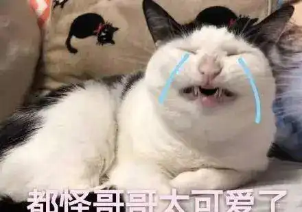  制作硬核淘汰大神这毫无求生欲的节目简直是一股清流