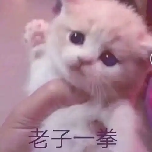 斗图小表情2.6 斗图小表情2.6