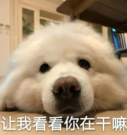  招4225人广外艺2023年春季招生计划来啦