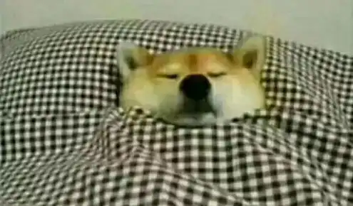  警报boss级寒潮正面杀到气温低至