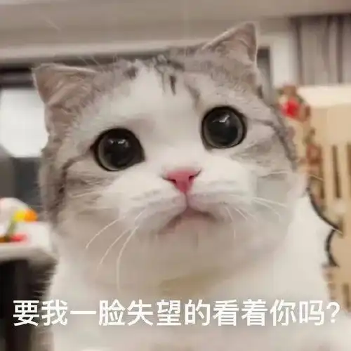  表情包好想你,太想你了怎么办