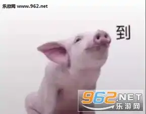  猪到的表情包猪答道表情包图片下载乐游网游戏下载