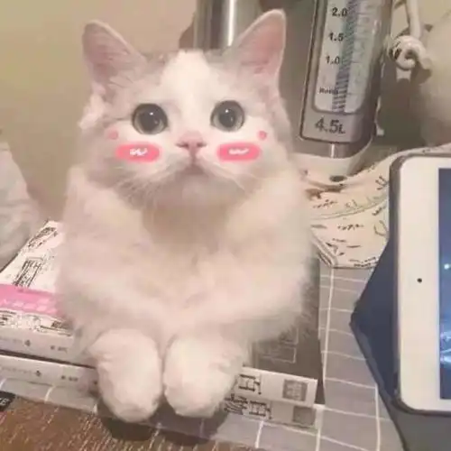 想挖个坑再把自己埋了 想挖个坑再把自己埋了