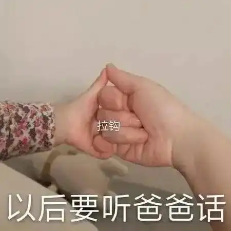  表情包叮咚叮咚在吗