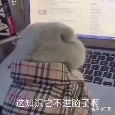 超级搞笑表情开车