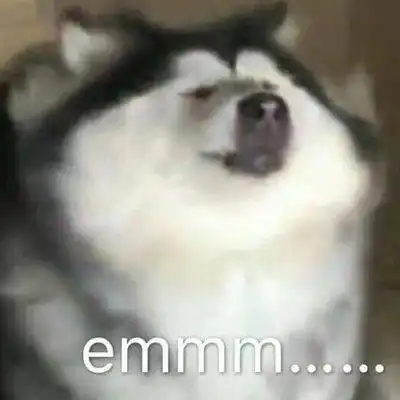  哈士奇表情图片二哈搞笑图片表情带字好不好