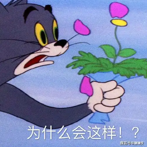  快看表情包